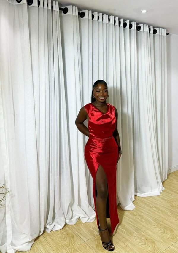 Oiza Dress - Image 3