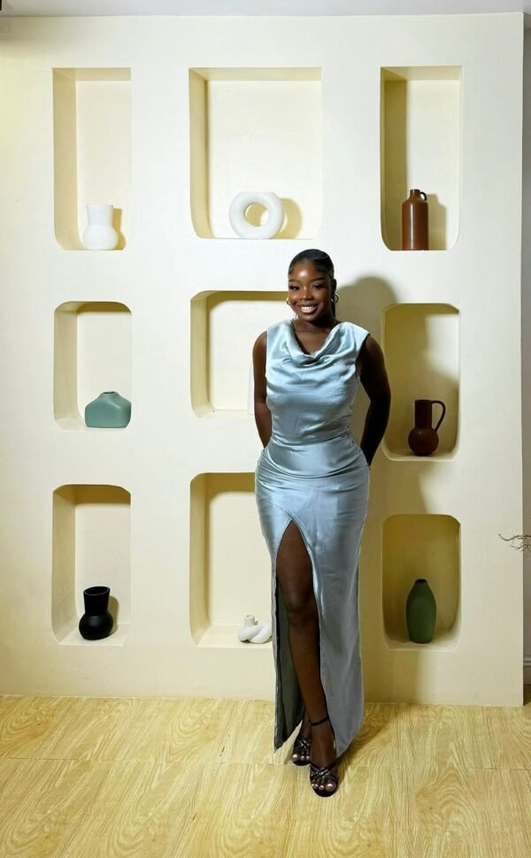 Oiza Dress - Image 2