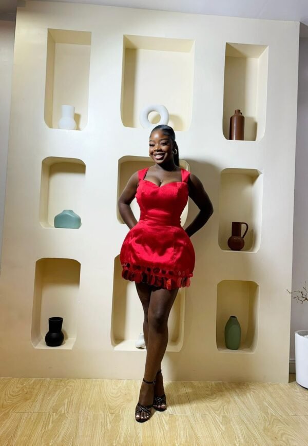 Gem Mini Dress - Image 5